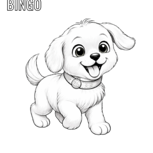 Meet Bingo Childies Academy