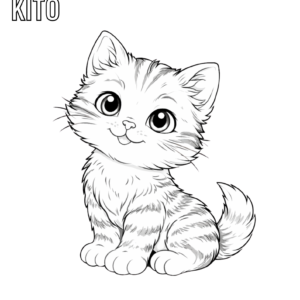 Meet KiTo Childies Academy